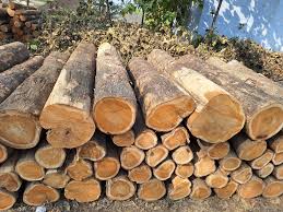Wooden Bed
